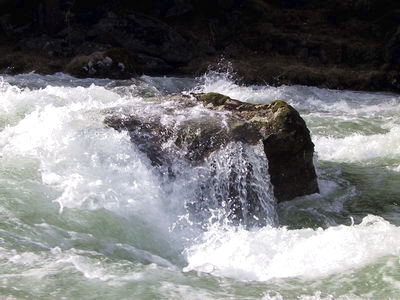 A rock in the river